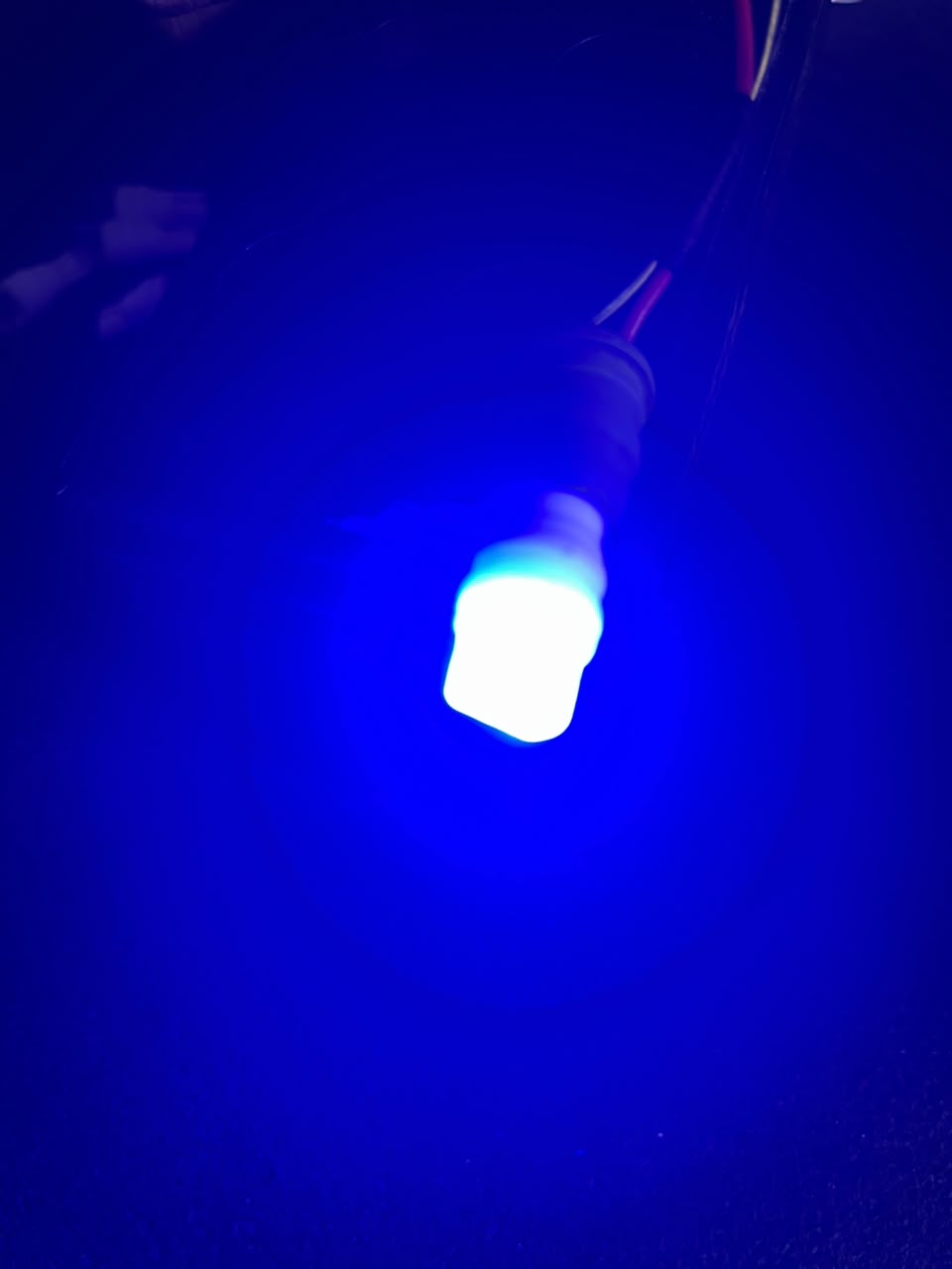 T10 W5W Blue LED Bulb